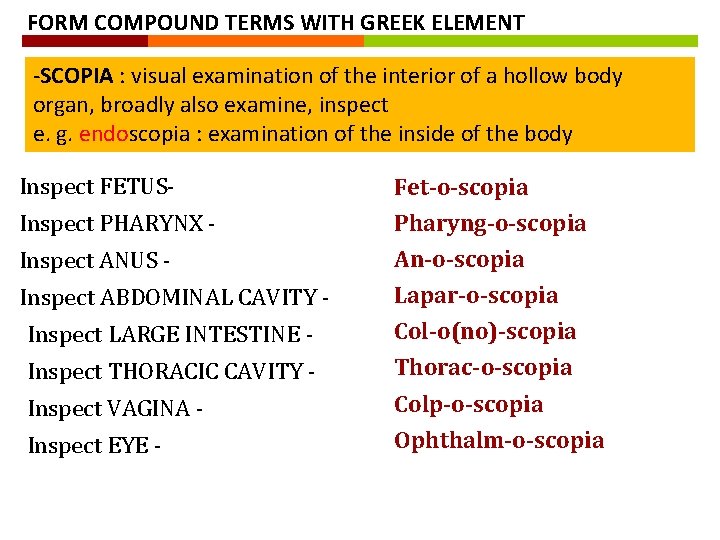 FORM COMPOUND TERMS WITH GREEK ELEMENT -SCOPIA : visual examination of the interior of FORM COMPOUND TERMS WITH GREEK ELEMENT -SCOPIA : visual examination of the interior of