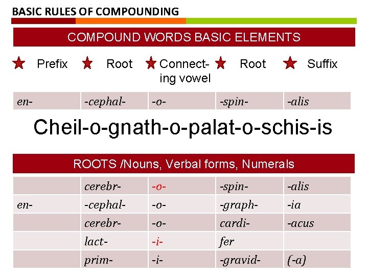 BASIC RULES OF COMPOUNDING COMPOUND WORDS BASIC ELEMENTS Prefix en- Root -cephal- Connecting vowel BASIC RULES OF COMPOUNDING COMPOUND WORDS BASIC ELEMENTS Prefix en- Root -cephal- Connecting vowel
