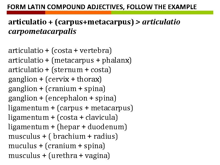 FORM LATIN COMPOUND ADJECTIVES, FOLLOW THE EXAMPLE articulatio + (carpus+metacarpus) > articulatio carpometacarpalis articulatio FORM LATIN COMPOUND ADJECTIVES, FOLLOW THE EXAMPLE articulatio + (carpus+metacarpus) > articulatio carpometacarpalis articulatio