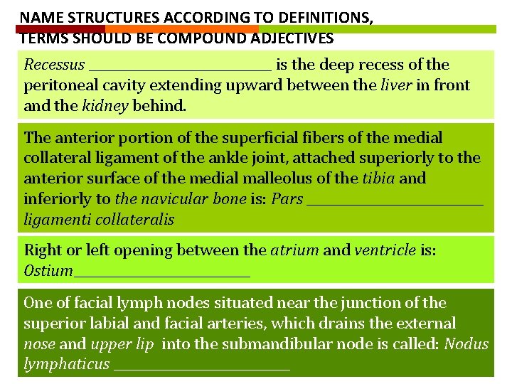 NAME STRUCTURES ACCORDING TO DEFINITIONS, TERMS SHOULD BE COMPOUND ADJECTIVES Recessus _______________ is the NAME STRUCTURES ACCORDING TO DEFINITIONS, TERMS SHOULD BE COMPOUND ADJECTIVES Recessus _______________ is the