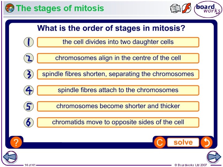 The stages of mitosis 14 of 41 © Boardworks Ltd 2007 