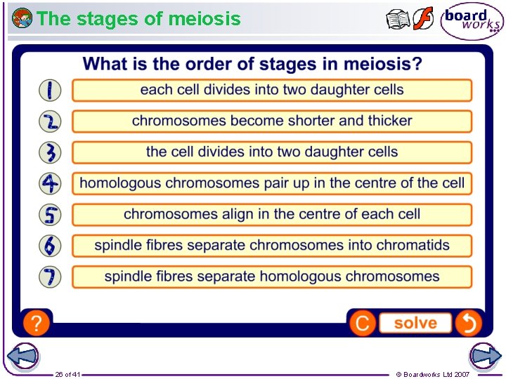 The stages of meiosis 26 of 41 © Boardworks Ltd 2007 