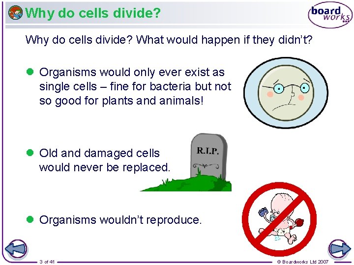 Why do cells divide? What would happen if they didn’t? Organisms would only ever