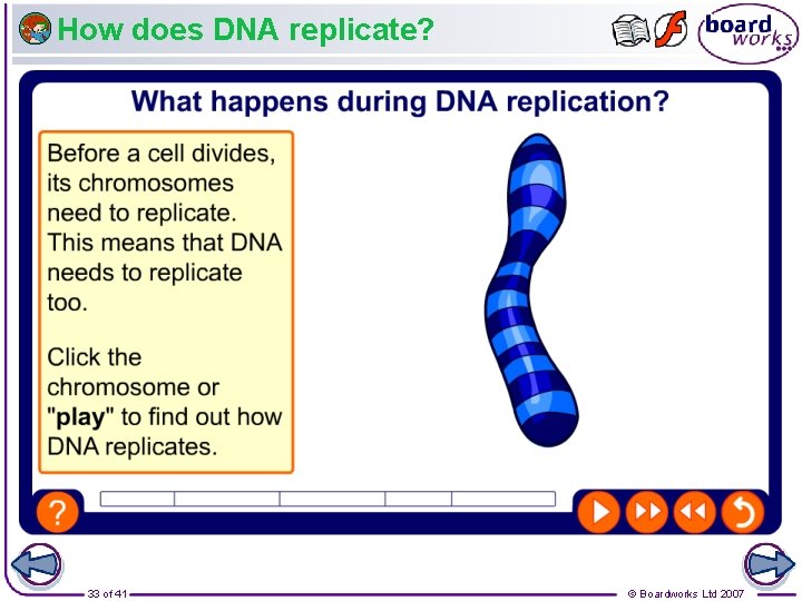 How does DNA replicate? 33 of 41 © Boardworks Ltd 2007 