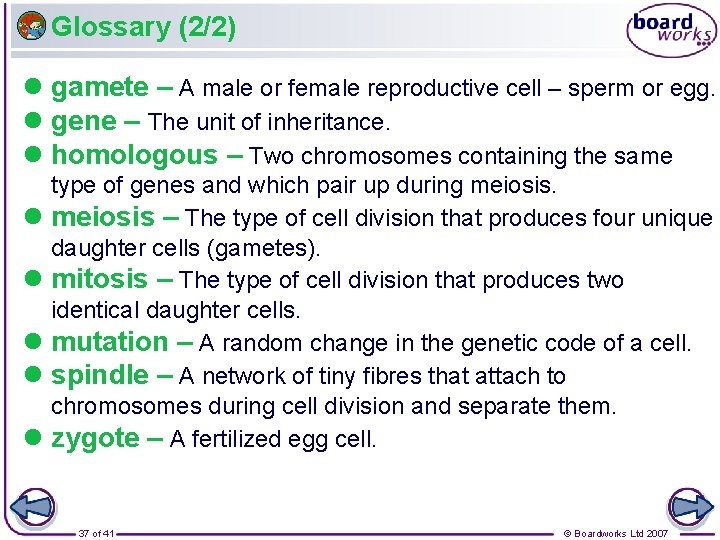 Glossary (2/2) gamete – A male or female reproductive cell – sperm or egg.