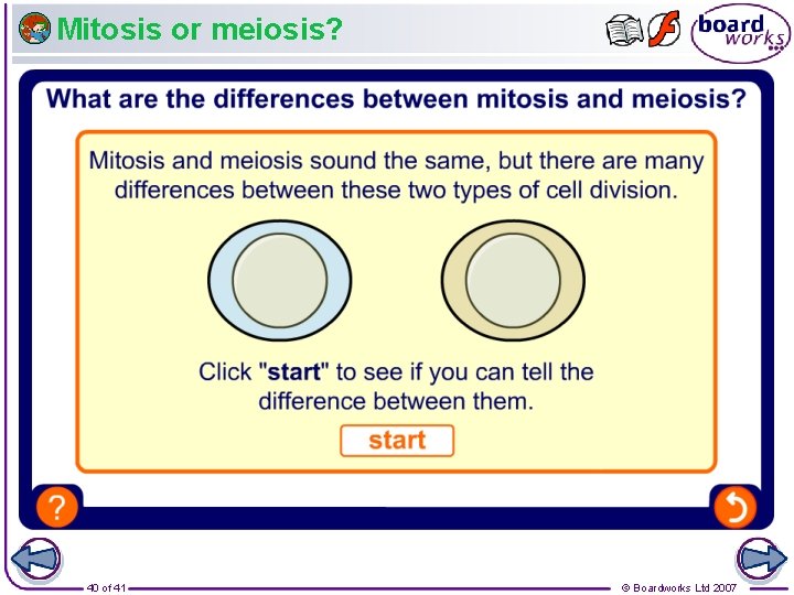 Mitosis or meiosis? 40 of 41 © Boardworks Ltd 2007 