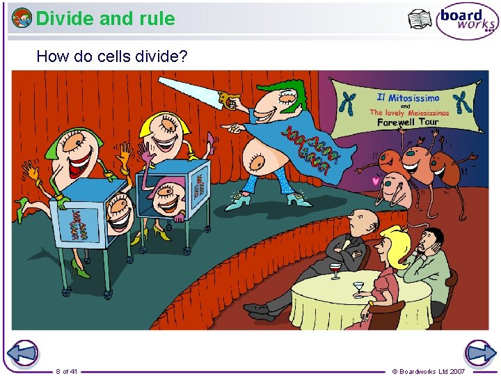 Divide and rule How do cells divide? 8 of 41 © Boardworks Ltd 2007