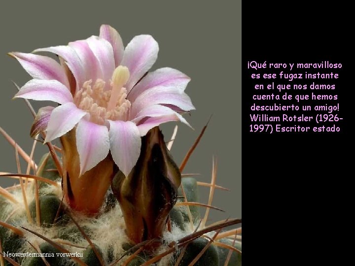 ¡Qué raro y maravilloso es ese fugaz instante en el que nos damos cuenta ¡Qué raro y maravilloso es ese fugaz instante en el que nos damos cuenta