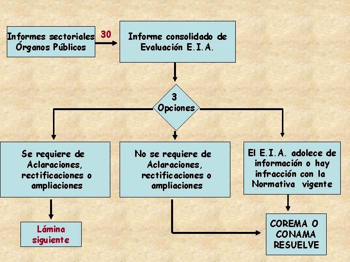 Informes sectoriales 30 Órganos Públicos Informe consolidado de Evaluación E. I. A. 3 Opciones