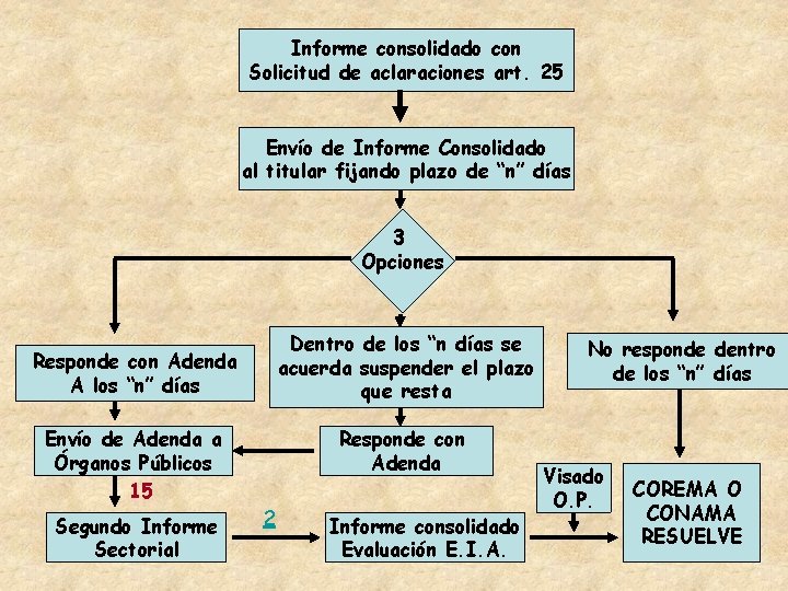 Informe consolidado con Solicitud de aclaraciones art. 25 Envío de Informe Consolidado al titular Informe consolidado con Solicitud de aclaraciones art. 25 Envío de Informe Consolidado al titular