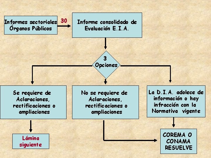 Informes sectoriales 30 Órganos Públicos Informe consolidado de Evaluación E. I. A. 3 Opciones