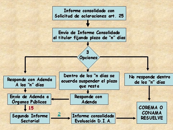 Informe consolidado con Solicitud de aclaraciones art. 25 Envío de Informe Consolidado al titular Informe consolidado con Solicitud de aclaraciones art. 25 Envío de Informe Consolidado al titular
