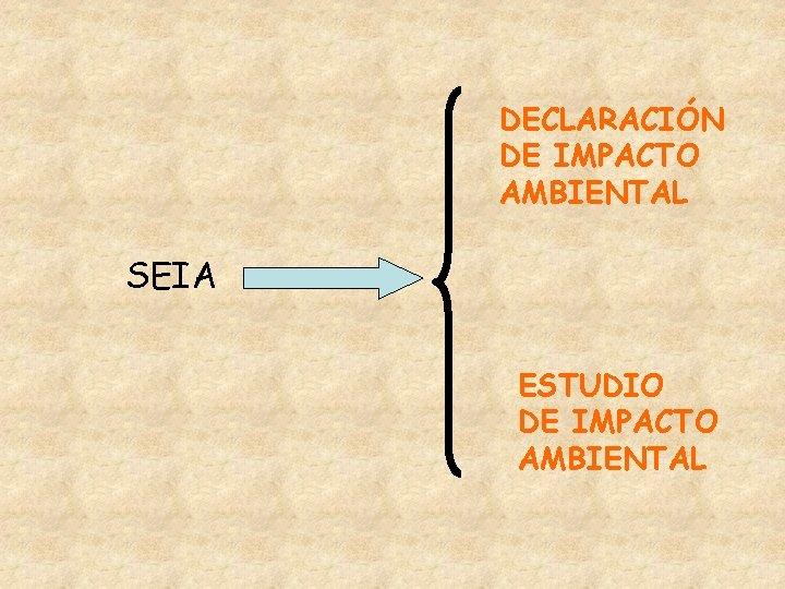 DECLARACIÓN DE IMPACTO AMBIENTAL SEIA ESTUDIO DE IMPACTO AMBIENTAL 