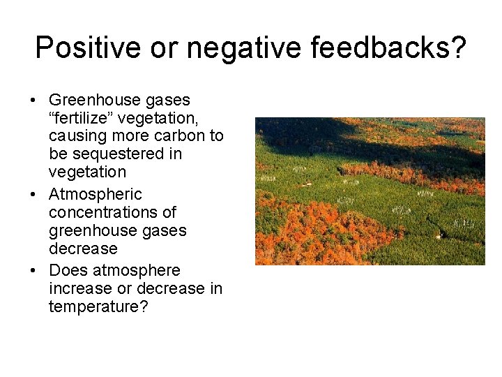Positive or negative feedbacks? • Greenhouse gases “fertilize” vegetation, causing more carbon to be