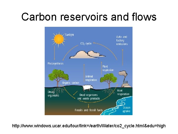 Carbon reservoirs and flows http: //www. windows. ucar. edu/tour/link=/earth/Water/co 2_cycle. html&edu=high 