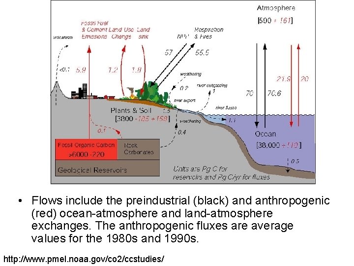  • Flows include the preindustrial (black) and anthropogenic (red) ocean-atmosphere and land-atmosphere exchanges.