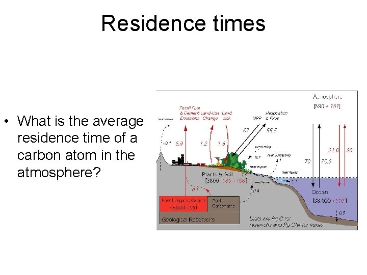 Residence times • What is the average residence time of a carbon atom in