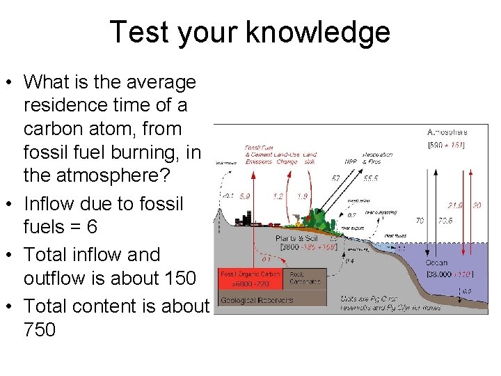 Test your knowledge • What is the average residence time of a carbon atom,