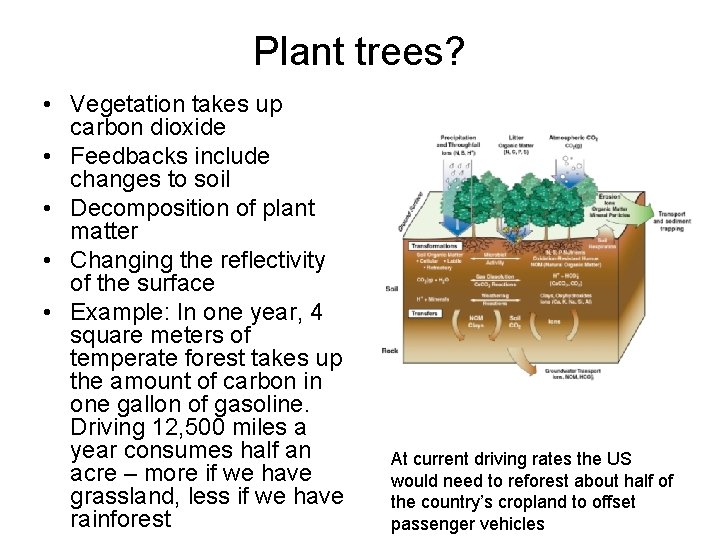 Plant trees? • Vegetation takes up carbon dioxide • Feedbacks include changes to soil