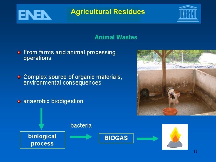 Agricultural Residues Animal Wastes From farms and animal processing operations Complex source of organic