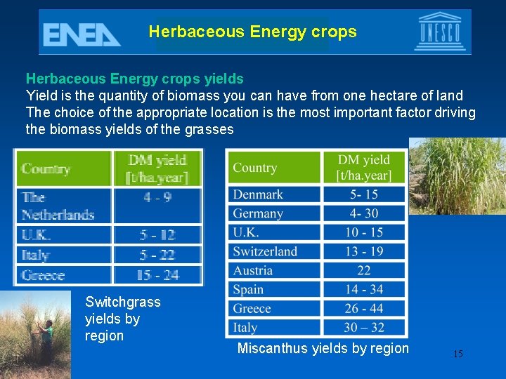 Herbaceous Energy crops yields Yield is the quantity of biomass you can have from