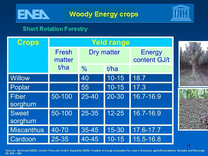 Woody Energy crops Short Rotation Forestry 19 Sources: Mc. Kendry (2002); Venturi, Piero and