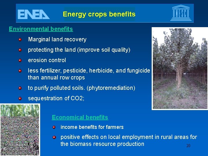 Energy crops benefits Environmental benefits Marginal land recovery protecting the land (improve soil quality)