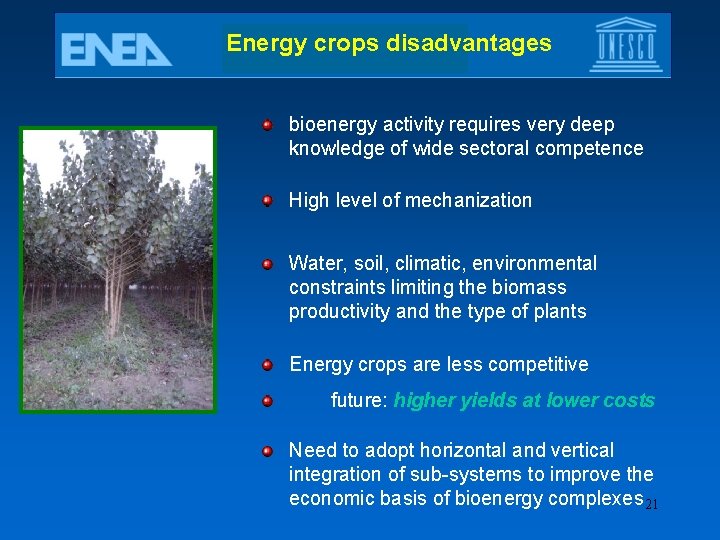 Energy crops disadvantages bioenergy activity requires very deep knowledge of wide sectoral competence High