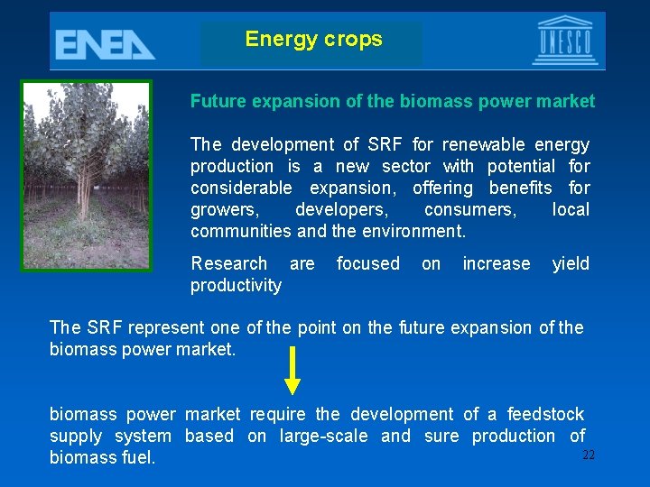 Energy crops Future expansion of the biomass power market The development of SRF for