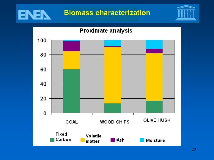 Biomass characterization 29 