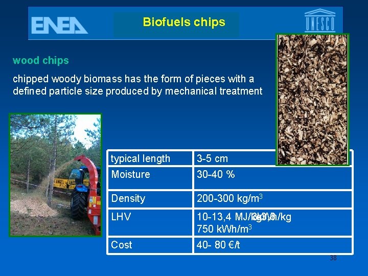 Biofuels chips wood chips chipped woody biomass has the form of pieces with a