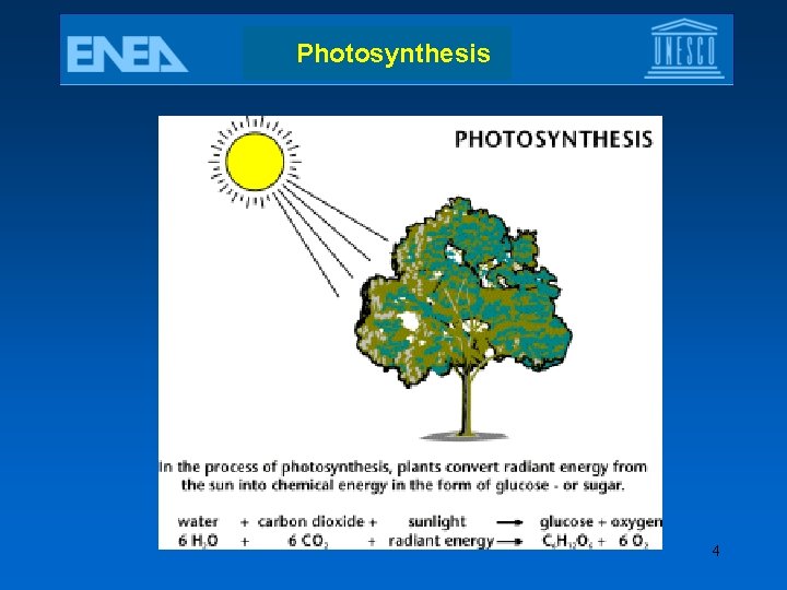 Photosynthesis 4 