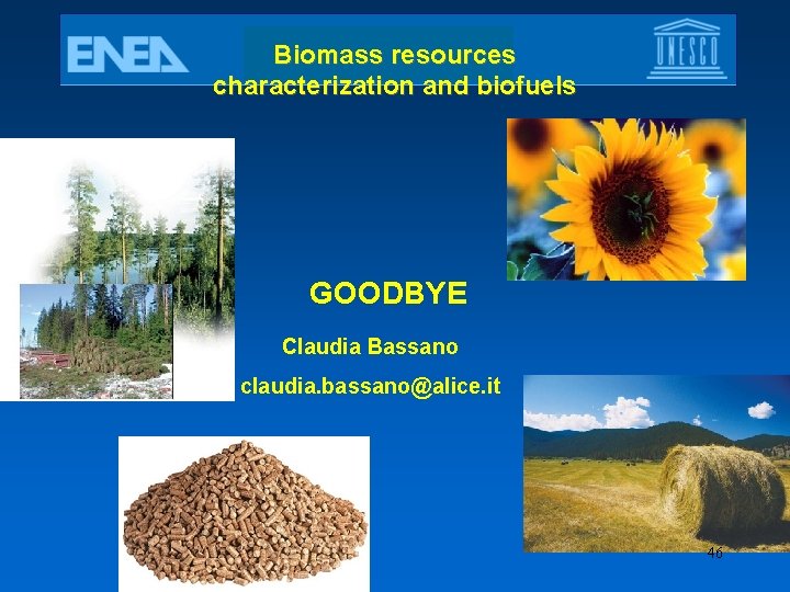 Biomass resources characterization and biofuels GOODBYE Claudia Bassano claudia. bassano@alice. it 46 