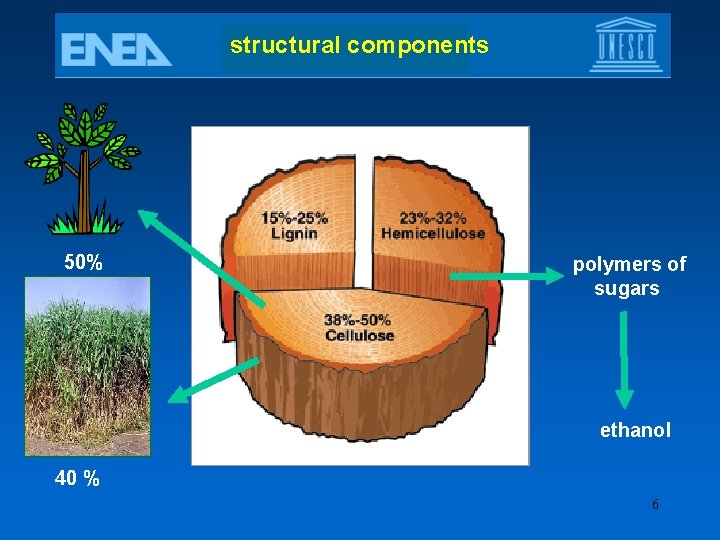 structural components 50% polymers of sugars ethanol 40 % 6 