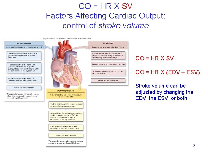 CO = HR X SV Factors Affecting Cardiac Output: control of stroke volume CO