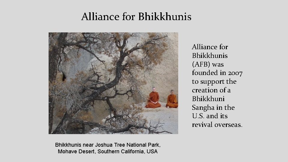 Alliance for Bhikkhunis (AFB) was founded in 2007 to support the creation of a