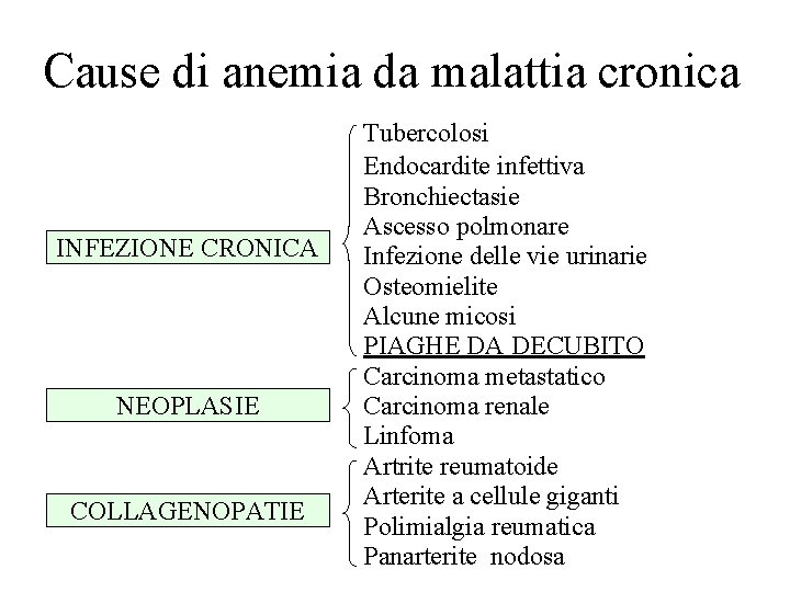 Cause di anemia da malattia cronica INFEZIONE CRONICA NEOPLASIE COLLAGENOPATIE Tubercolosi Endocardite infettiva Bronchiectasie