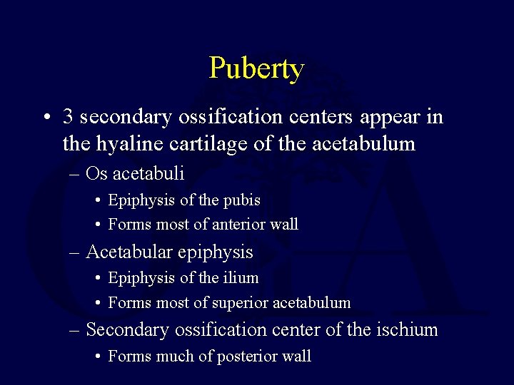 Puberty • 3 secondary ossification centers appear in the hyaline cartilage of the acetabulum