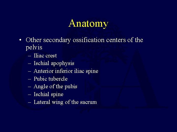 Anatomy • Other secondary ossification centers of the pelvis – – – – Iliac