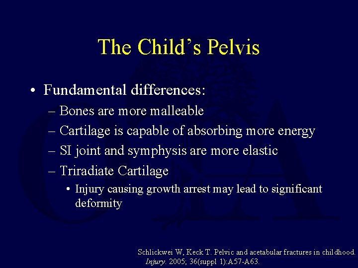 The Child’s Pelvis • Fundamental differences: – Bones are more malleable – Cartilage is