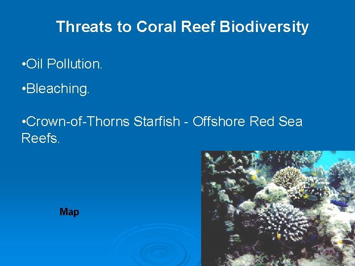 Threats to Coral Reef Biodiversity • Oil Pollution. • Bleaching. • Crown-of-Thorns Starfish -
