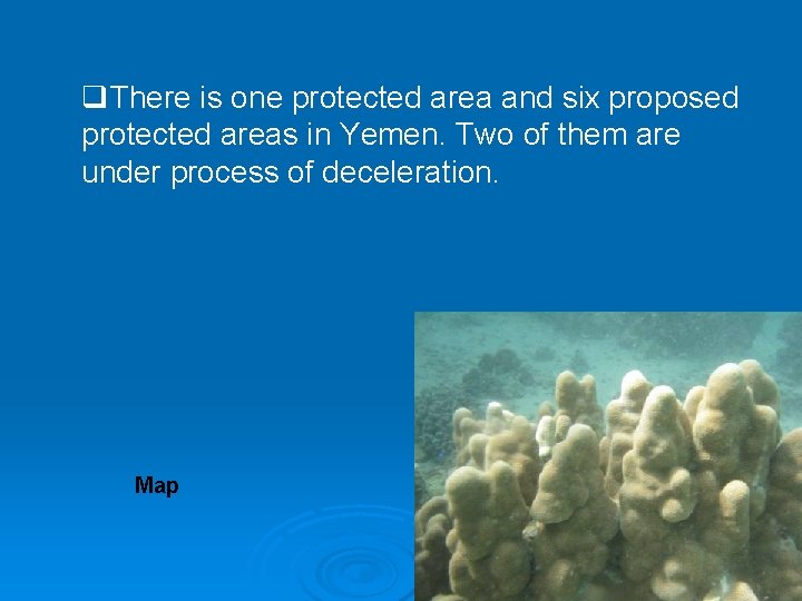 q. There is one protected area and six proposed protected areas in Yemen. Two