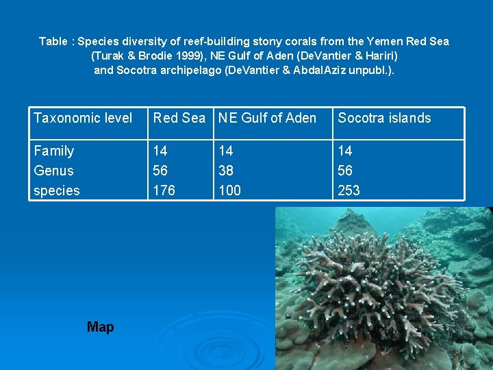 Table : Species diversity of reef-building stony corals from the Yemen Red Sea (Turak