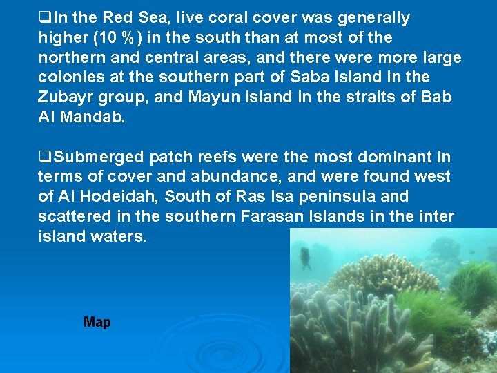 q. In the Red Sea, live coral cover was generally higher (10 %) in q. In the Red Sea, live coral cover was generally higher (10 %) in