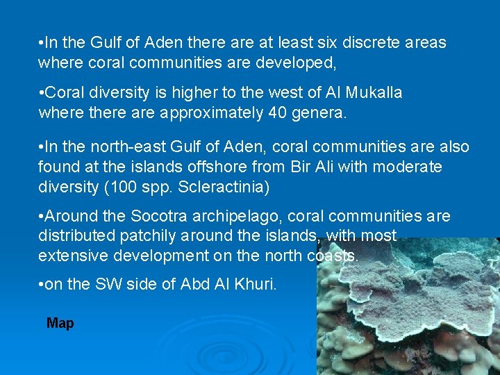  • In the Gulf of Aden there at least six discrete areas where