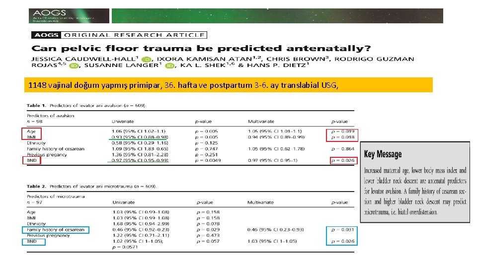 1148 vajinal doğum yapmış primipar, 36. hafta ve postpartum 3 -6. ay translabial USG,