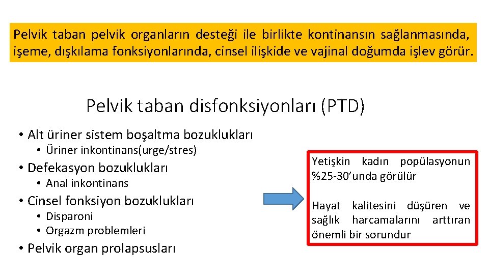 Pelvik taban pelvik organların desteği ile birlikte kontinansın sağlanmasında, işeme, dışkılama fonksiyonlarında, cinsel ilişkide