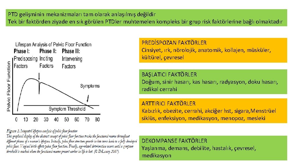 PTD gelişminin mekanizmaları tam olarak anlaşılmış değildir Tek bir faktörden ziyade en sık görülen