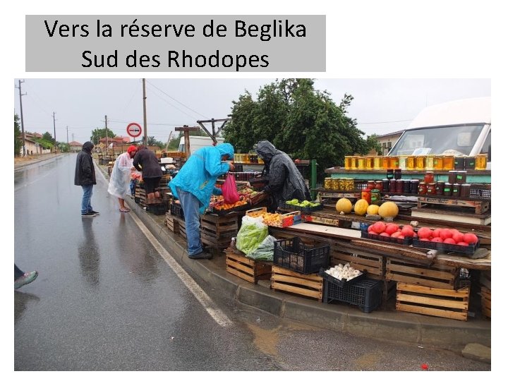 Vers la réserve de Beglika Sud des Rhodopes 