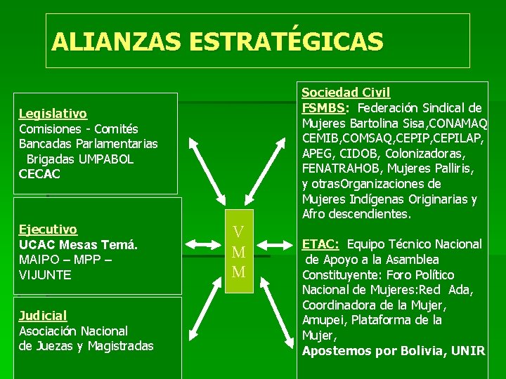 ALIANZAS ESTRATÉGICAS Sociedad Civil FSMBS: Federación Sindical de Mujeres Bartolina Sisa, CONAMAQ CEMIB, COMSAQ,